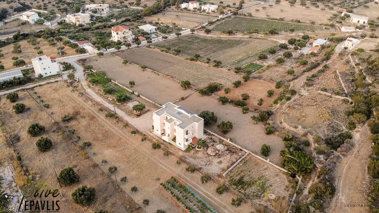 Olive Epavlis Apartment Karpathos Luaran gambar